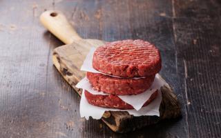 Как сделать гамбургер в домашних условиях — основные правила и пошаговые рецепты Что ложится в гамбургер