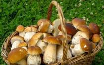 Сушёные грибы: как готовить полезный и ароматный продукт?