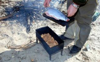 Холодное копчение рыбы: технология, рецепты