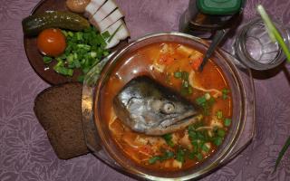 Рыбный суп: тонкости приготовления Как готовить суп из рыбы