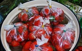 Малосольные помидоры — рецепты быстрого приготовления